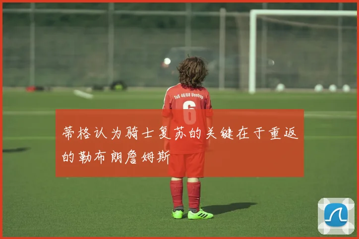 蒂格认为骑士复苏的关键在于重返的勒布朗詹姆斯